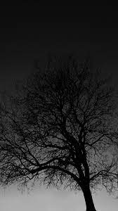 Black Tree Black Tree Black Aesthetic Wallpaper Dark Wallpaper Iphone