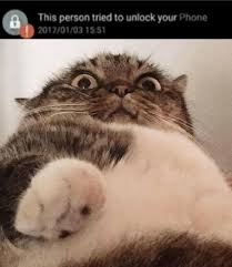 Today, we're going to talk about *how* to network unlock your phone. Cat Super Lag This Person Tried To Unlock Your Phone Facebook