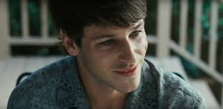 Pour un enseignant, le film de xavier dolan, réalisé en 2016 et disponible en dvd, peut être très utile : Jean Luc Lagarce Howard For Film