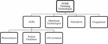 Palm oil mill effluent (pome) treatment system. Performance Of Chitosan As Natural Coagulant In Oil Palm Mill Effluent Treatment Intechopen