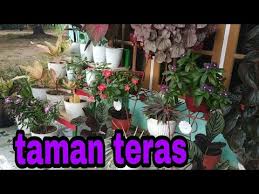 Agar penampilan teras terlihat cantik, pilihlah bunga dengan kelopak besar dan warna yang senada dengan eksterior rumah, misalnya bunga anyelir atau sepatu. Bunga Yg Biasa Di Taruh Di Taman Bunga Teras Rumah Ide Kreatif