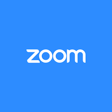 Icons are in line, flat, solid, colored outline, and other styles. Sign In Zoom