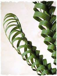 Maybe you would like to learn more about one of these? Dwf Wholesale Florist Phoenix Home Facebook