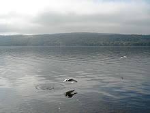 Honeoye Lake Wikipedia