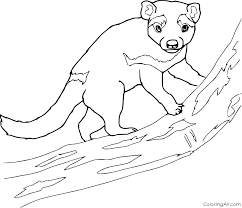 Baby tasmanian devil looney tunes coloring pages. Tasmanian Devil On The Tree Coloring Page Coloringall