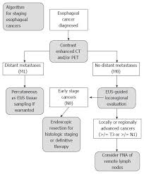 Is Endoscopic Ultrasound Examination Necessary In The