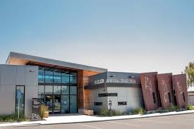 Companion Animals San Diego Humane Society