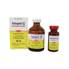 Torbugesic Injectable C Iv 10 Mg Ml 10 Ml Zoetis