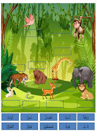 # ( مَنْ تَعَوَّدَ عَلَى شَيْءٍ ، صَارَ أَهْلَهُ ). Haiwan Online Pdf Exercise For 8