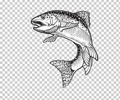 Maybe you would like to learn more about one of these? Rainbow Trout Drawing Sketch Graphics Illustration Png Clipart Animals Automotive Design Black And White Body Jewelry