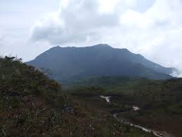 Anda juga boleh memilih untuk menyertai aktiviti memancingterutamanya di lata berkoh dan sungai kenyam. Gunung Tahan Wikipedia Bahasa Melayu Ensiklopedia Bebas