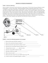 Protein Synthesis Worksheet