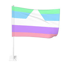 12x18 Inch Car Altersex Pride Flag Flag For Outdoor Decor Banner (Without  Flagpole) : Amazon.ca: Patio, Lawn & Garden