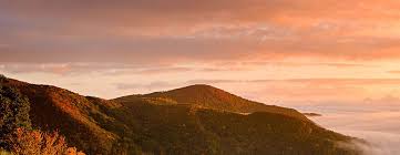 See the best asheville cabin and cottage vacation rentals, top rated near blue ridge parkway and biltmore and romantic log cabins in the north carolina best cabin rentals, asheville mountains. Cataloochee Ranch Maggie Valley Cabin Rentals And Bed And Breakfast Near Asheville And Waynesville