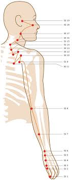 Acupuncture Points On Your Hands Arms Smarter Healing