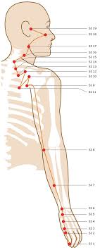 Acupuncture Points On Your Head Neck Face Smarter Healing