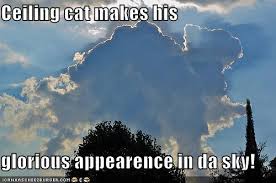 Let them swim in the deepest ocean or glide over the highest cloud. Funny Quotes About Clouds Quotesgram