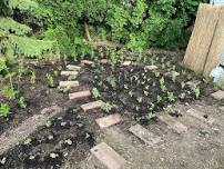 Native Garden Maintenance — Clinton River...