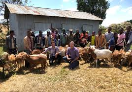 Dtreo breeding software into Ethiopia and Tanzania - AbacusBio
