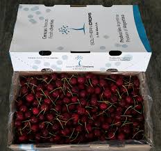 Sweet cherry enterprise(m) sdn bhd application date : Fruitable Fresh Fruits Malaysia