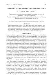 Image result for Selaginella buchholzii