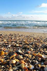 Plage De Sete France Sete France Lac Plage