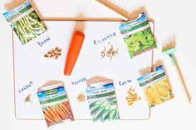 Indoor Gardening Activities For Kids Bash Co