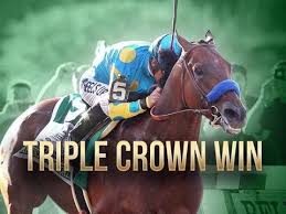 American Pharoah S Road To Stardom Inc All Three Triple Crown Races American Pharoah Triple Crown Thoroughbred Racehorse
