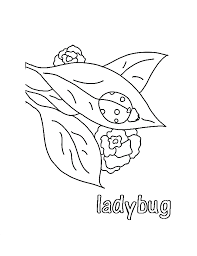 Ladybugs coloring pages for kids and parents, free printable and online coloring of ladybugs pictures. Free Printable Ladybug Coloring Pages For Kids