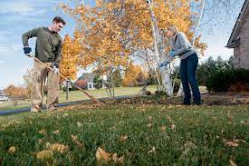 With the onset of autumn, this happens to be the best time to prepare your lawn for the upcoming cold winter so that it can bloom to its full potential… Aeration Why How When To Aerate Your Lawn Briggs Stratton