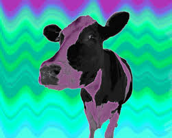 26 Psychedelic Animal Gifs That Will Make You Question Your Sanity Animal Gifs Cow Art Animals