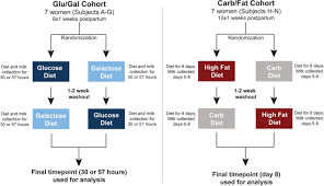 Maternal Diet Alters Human Milk Oligosaccharide Composition With Implications For The Milk Metagenome Scientific Reports
