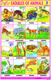 Eatables Of Animals Learning Poster Preschool Charts Chart