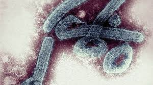 Dec 02, 2019 · marburg virus first popped up on health officials' radar in 1967 when more than two dozen cases of hemorrhagic fever first appeared in germany and what is now serbia. Ozxr7hmsrxr9hm