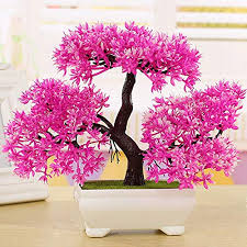 It can be daunting growing a bonsai tree. 43 Pink Bonsai Trees
