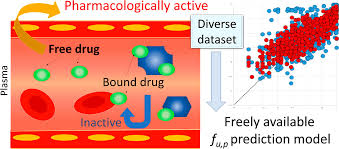 Image result for Multidentia sp. A