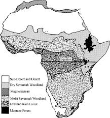 Image result for Oenanthe mildbraedii