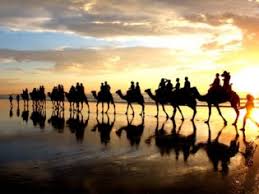 What do you call a camel that looks the same from both directions? You Haven T Done Broome Until You Ve Done A Sunset Camel Ride Australian Traveller