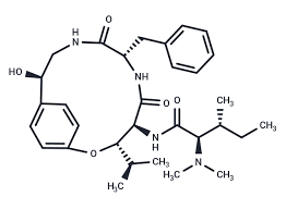 Image result for Panda oleosa