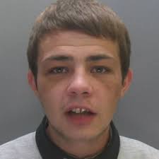 Anglesey drug-dealer jailed after 'significant' amount of cannabis found at  his home during raid