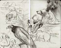 Pin On 2 D Animal Art