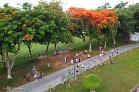 Thừa thiên huế là trung tâm văn hoá lớn và đặc sắc của việt nam. Phong Covid 19 Thá»«a Thien Huáº¿ Ä'ong Cá»­a Cong Vien