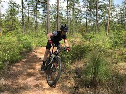 Maybe you would like to learn more about one of these? 4 Reasons Why You Should Be A Fan Of Flow Trails For Mountain Biking Singletracks Mountain Bike News
