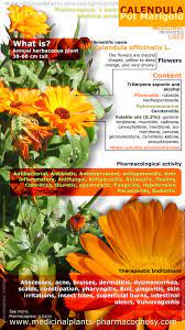 Pin On Nature Heals