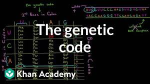 The Genetic Code