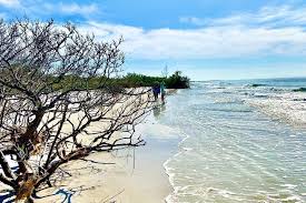 Skip the line tickets · a tripadvisor company · low price guarantee Clear Kayak Tour Of Shell Key Preserve And Tampa Bay Area Provided By Get Up And Go Kayaking Tampa Bay Tierra Verde Florida Tripadvisor