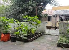 16 Rooftop Garden India Ideas Rooftop Garden Garden Terrace Garden