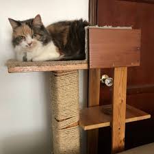 Product details you can place the cat house on legs, hang it on the wall or slide the house into kallax shelf unit. 15 Diy Cat Trees How To Build A Cat Tower