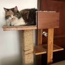 Our cat climbing shelves for walls are designed like popular floating shelves. 15 Diy Cat Trees How To Build A Cat Tower