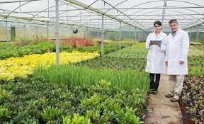 Starting your plant nursery makes a lucrative business plan. How To Start Up A Plant Nursery Start Up Donut